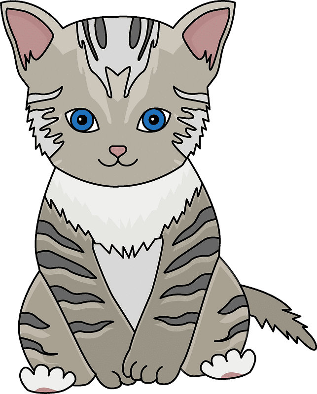 Kitten Clipart Transparent Background