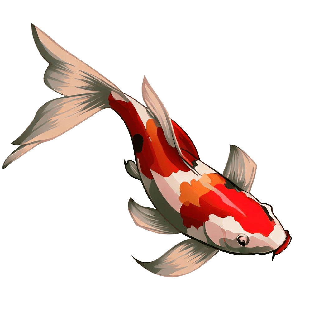 Koi Fish Clip Art Transparent
