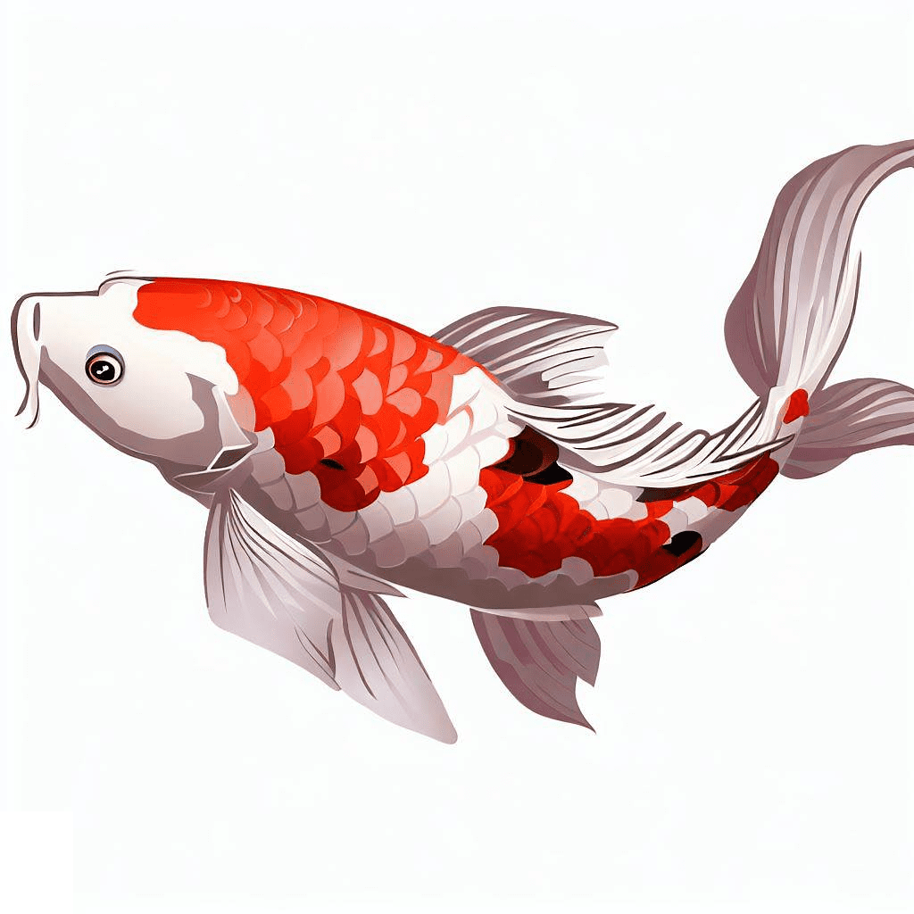 Koi Fish Clip Art