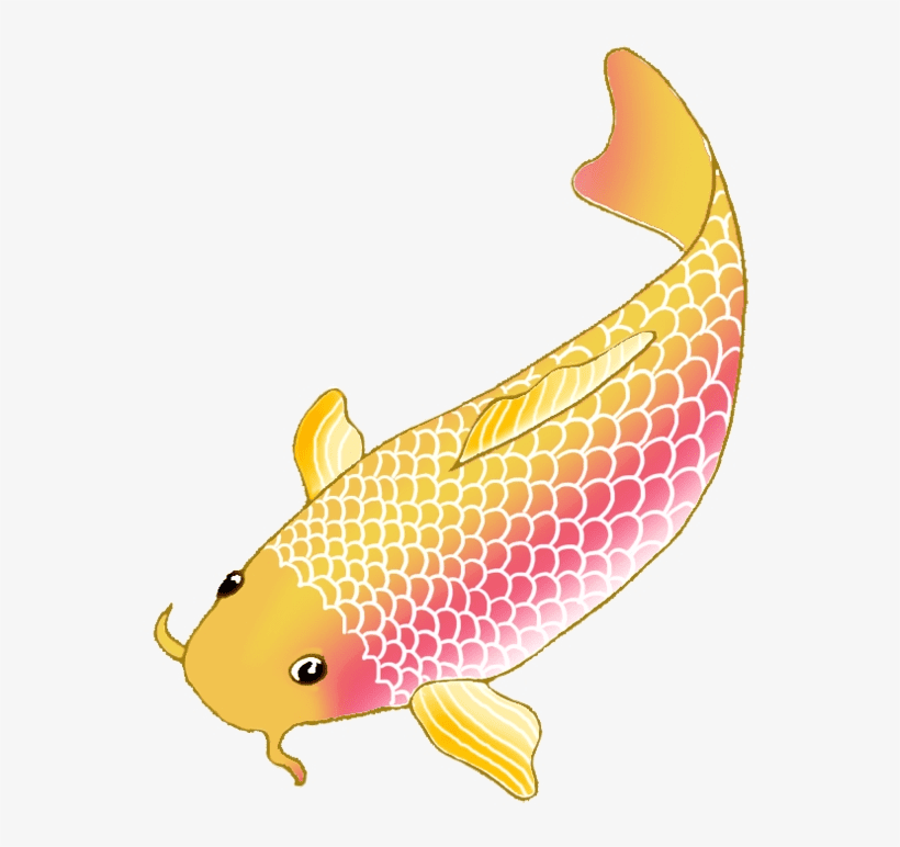 Koi Fish Clipart Free Pictures