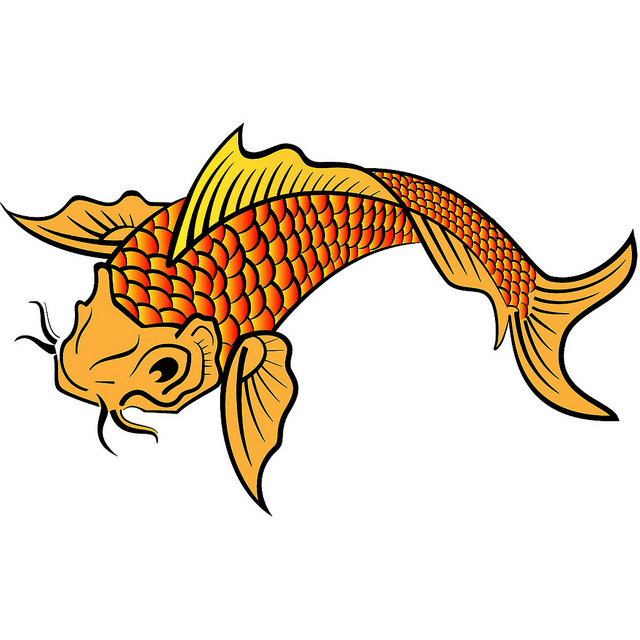 Koi Fish Clipart Pictures