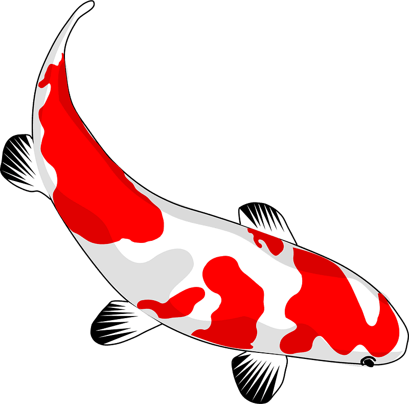 Koi Fish Clipart Transparent Free