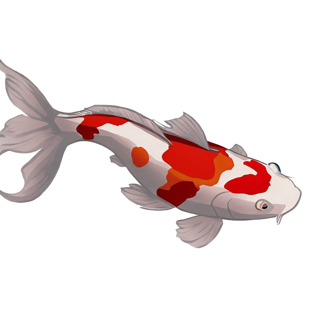 Koi Fish Clipart Transparent Image