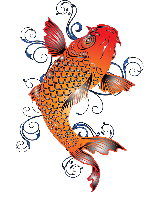 Koi Fish Clipart Transparent Png