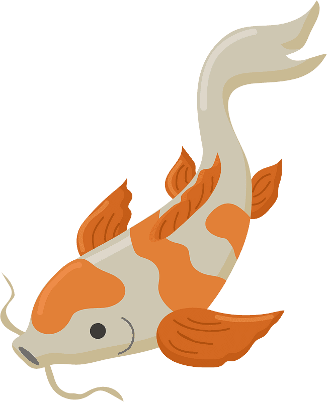 Koi Fish Clipart Transparent