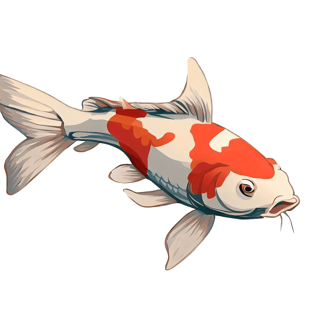 Koi Fish Transparent Clip Art