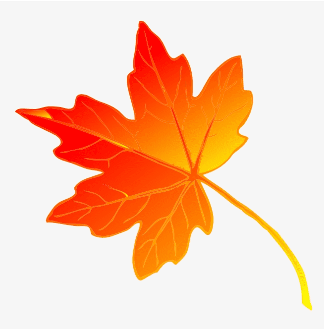 Maple Leaf Clip Art Png