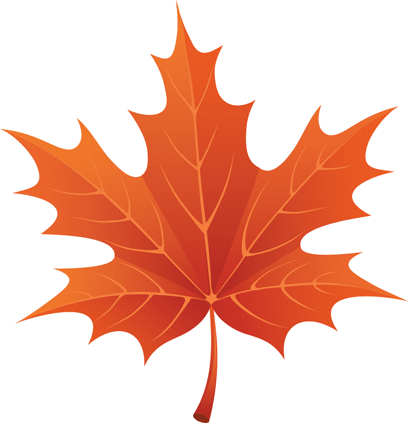 Maple Leaf Clipart Free Photo
