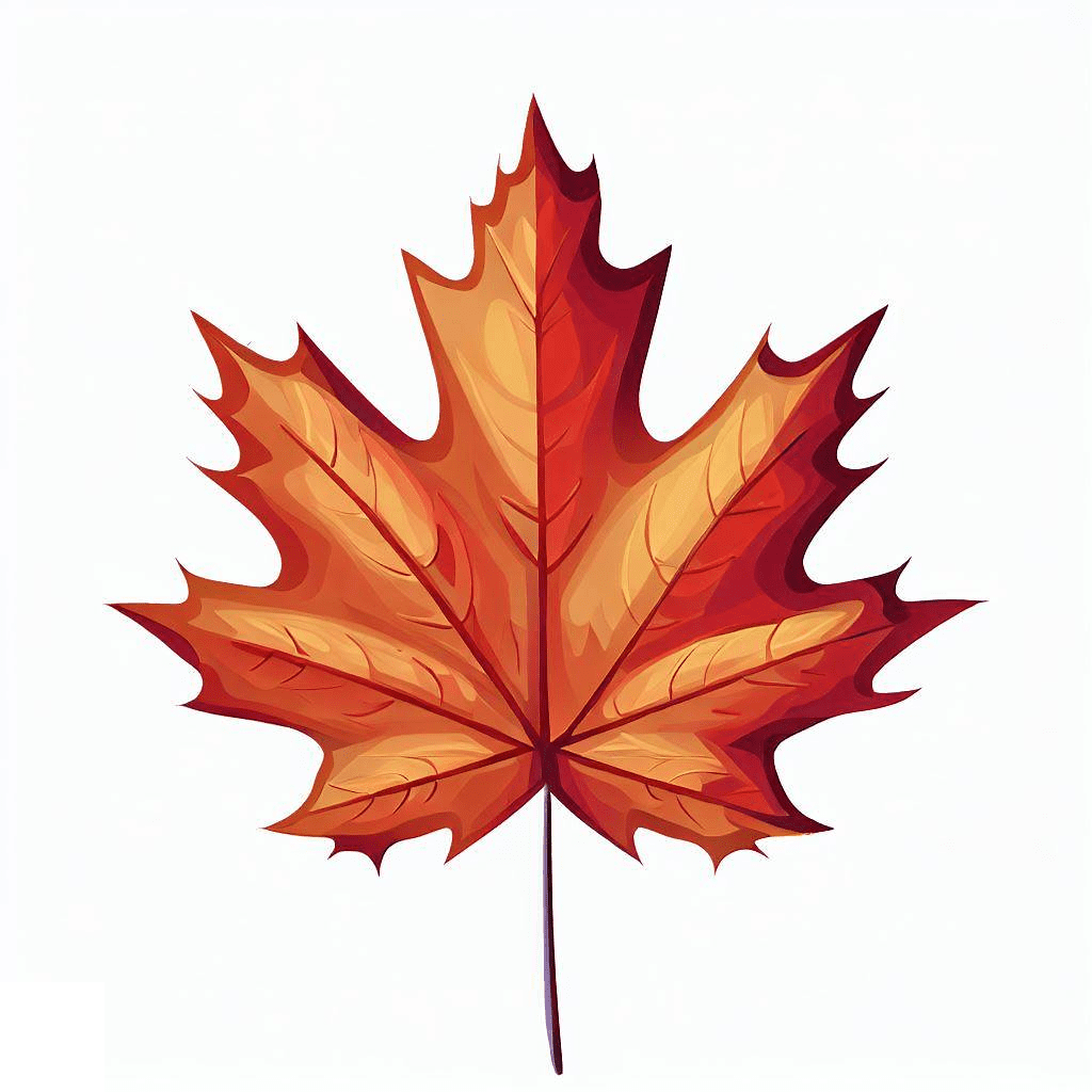 Maple Leaf Clipart Photo