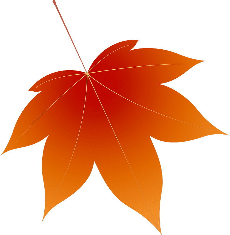 Maple Leaf Clipart Transparent Image