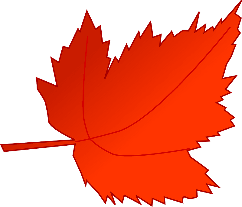Maple Leaf Clipart Transparent Picture