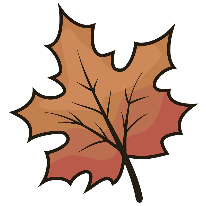 Maple Leaf Clipart Transparent Pictures
