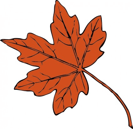 Maple Leaf Free Clipart