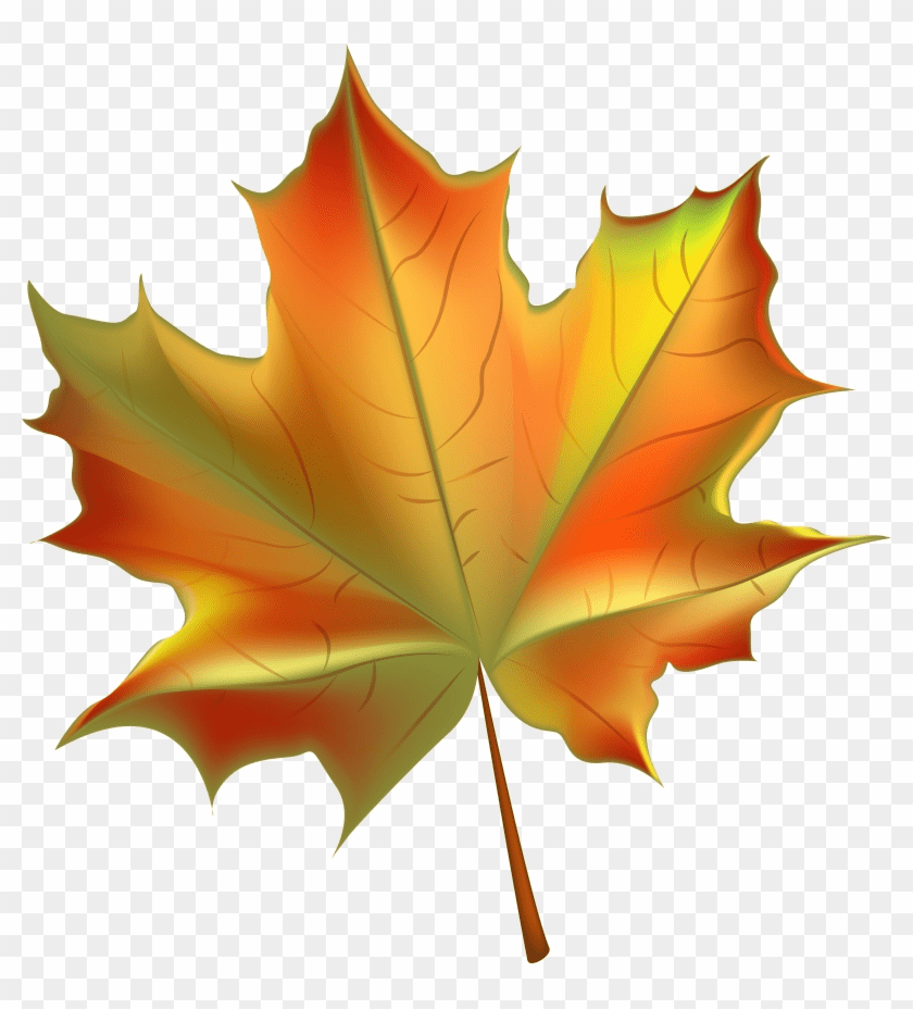 Maple Leaf Png Clipart