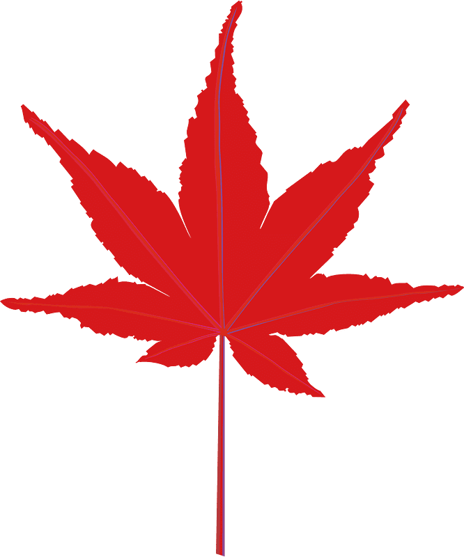 Maple Leaf Png Transparent