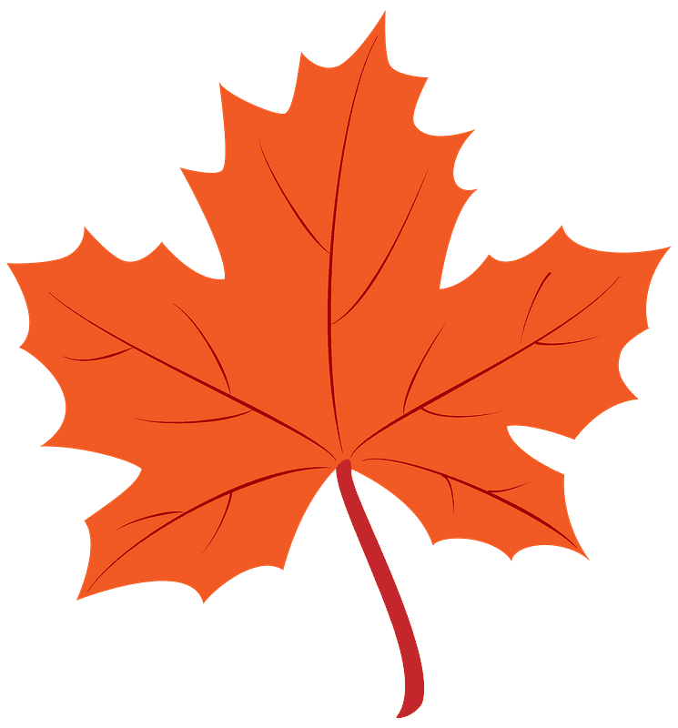 Maple Leaf Transparent Clip Art