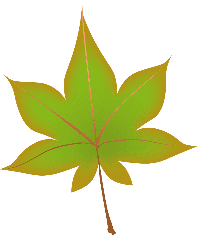 Maple Leaf Transparent Image