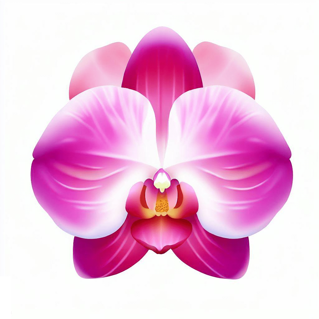 Orchid Clip Art Image