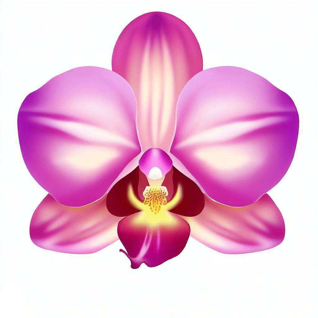 Orchid Clip Art Png