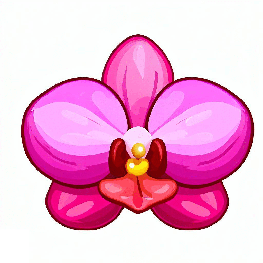 Orchid Clipart Free Photo