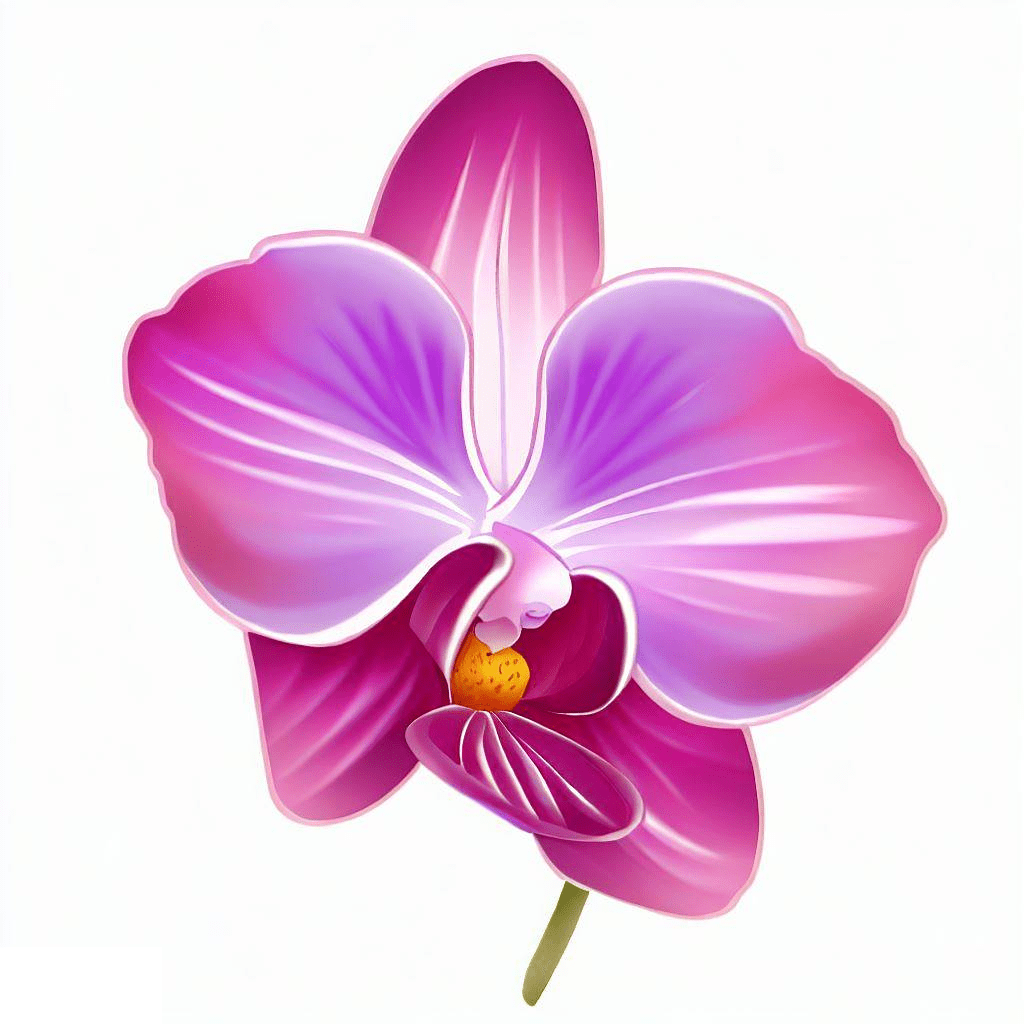 Orchid Clipart Free