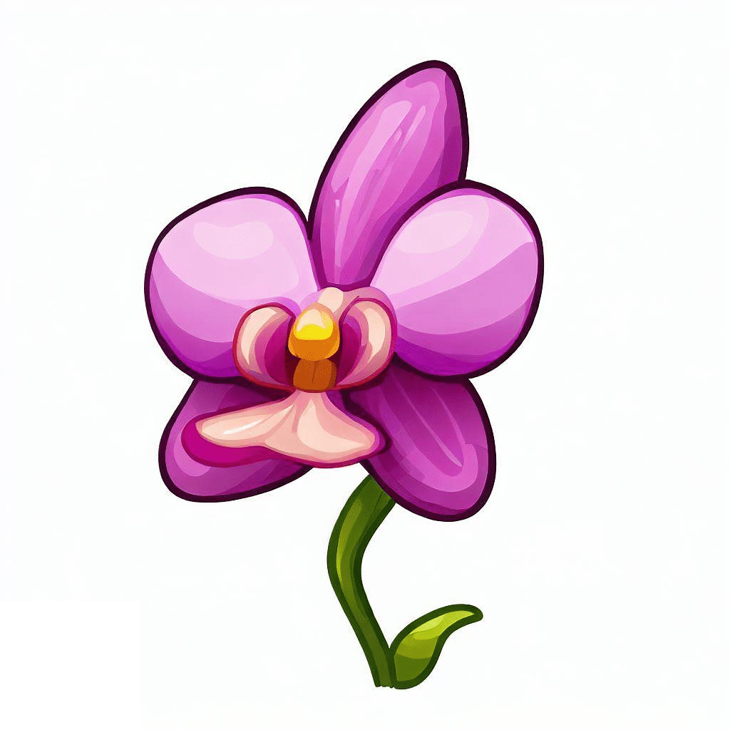 Orchid Clipart Images