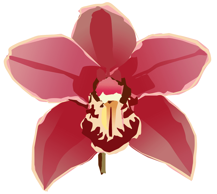Orchid Clipart Png Download