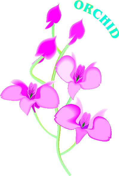Orchid Clipart Png Free