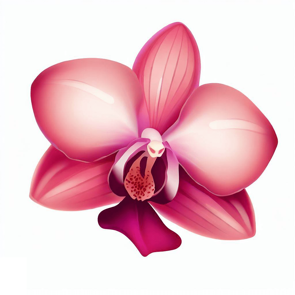 Orchid Clipart Png
