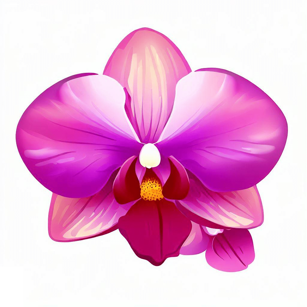 Orchid Flower Clipart Free
