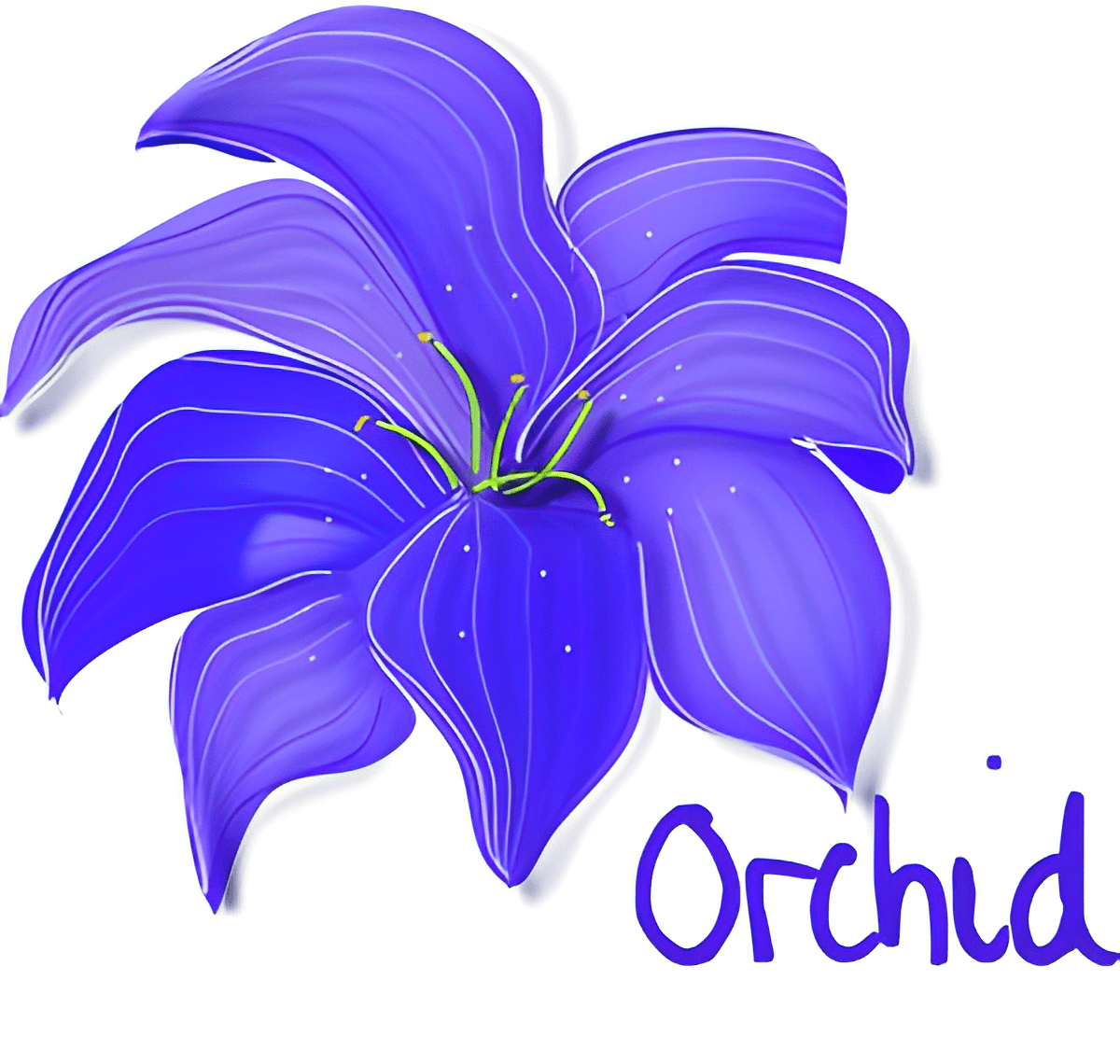 Orchid Free Clipart