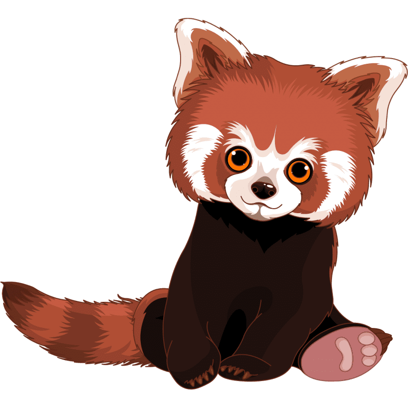 Red Panda Clipart Picture