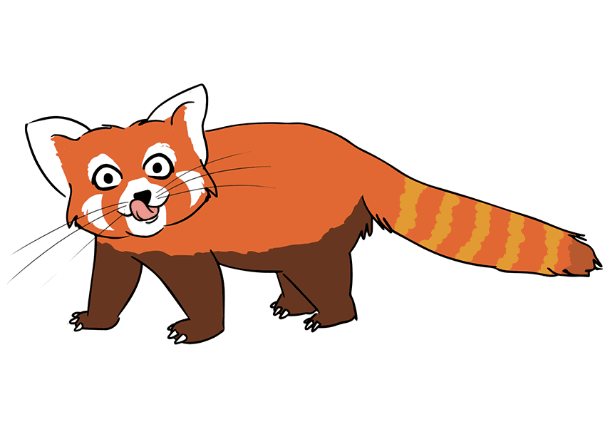 Red Panda Clipart Pictures