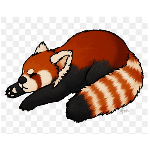 Red Panda Clipart Png Images