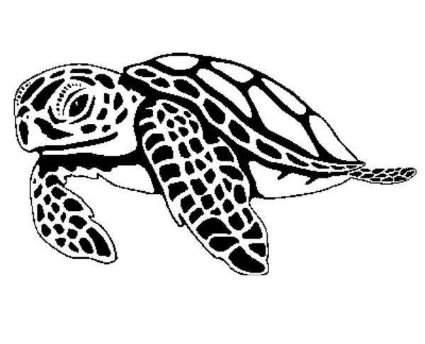 Sea Turtle Black and White Clipart