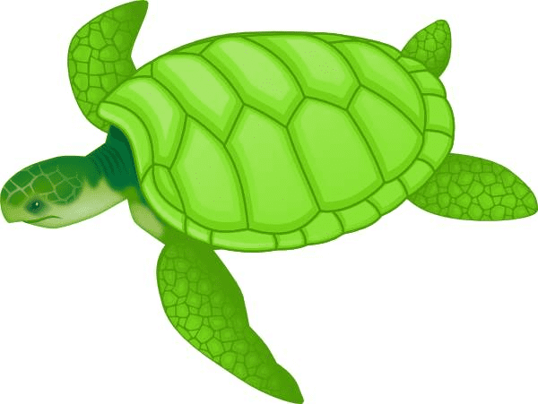 Sea Turtle Clipart Free Download