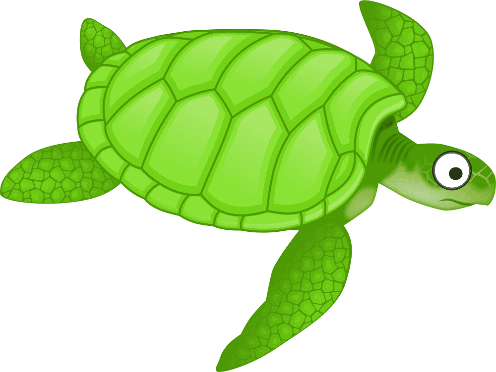 Sea Turtle Clipart Free Images