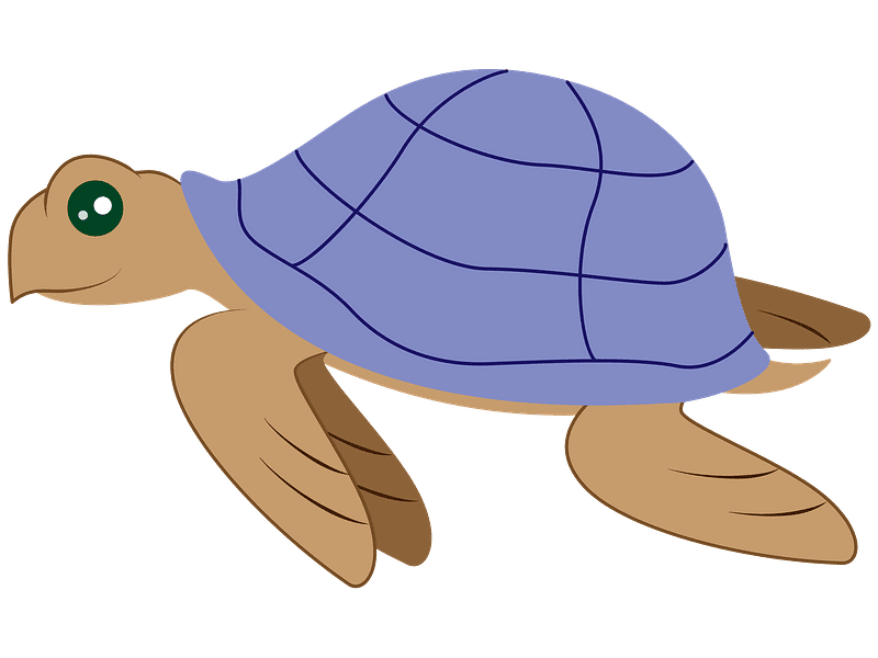 Sea Turtle Clipart Transparent Free