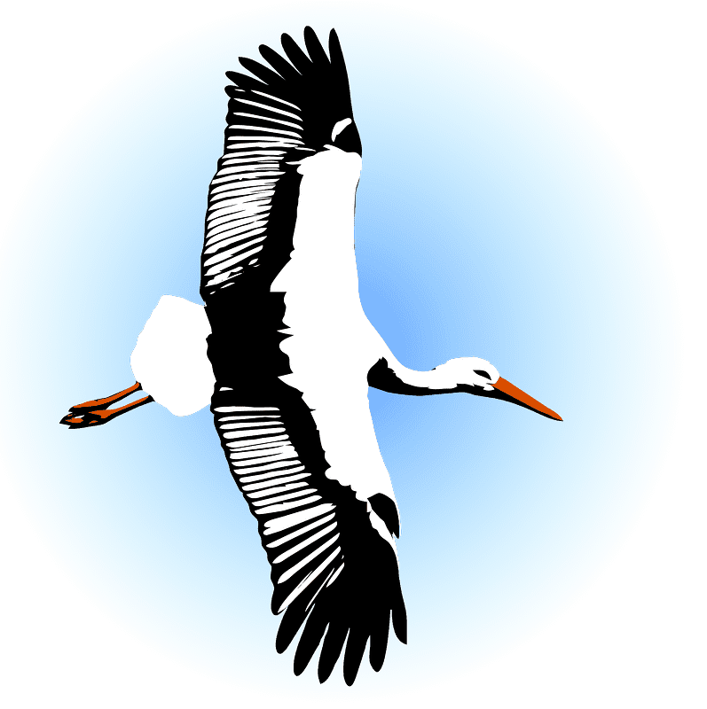 Stork Clipart Transparent Free