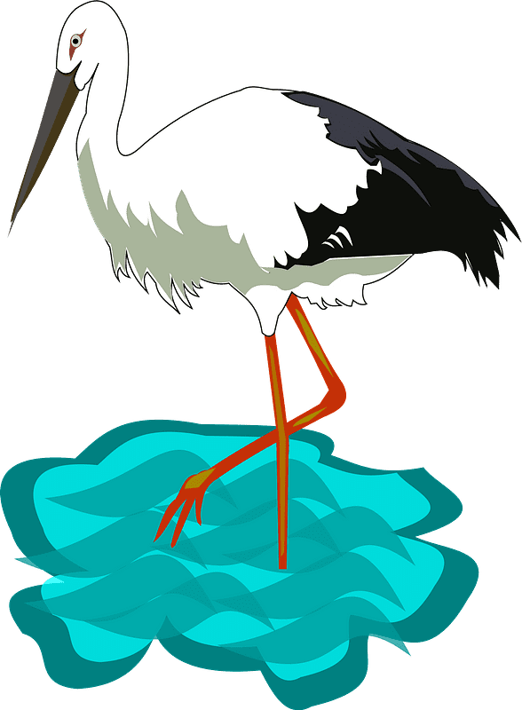 Stork Clipart Transparent Images