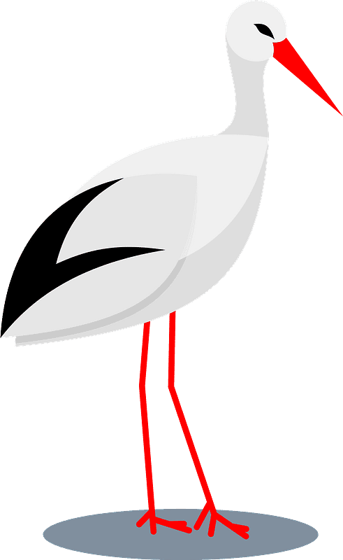 Stork Clipart Transparent Png