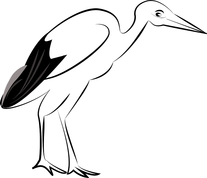 Stork Clipart Transparent