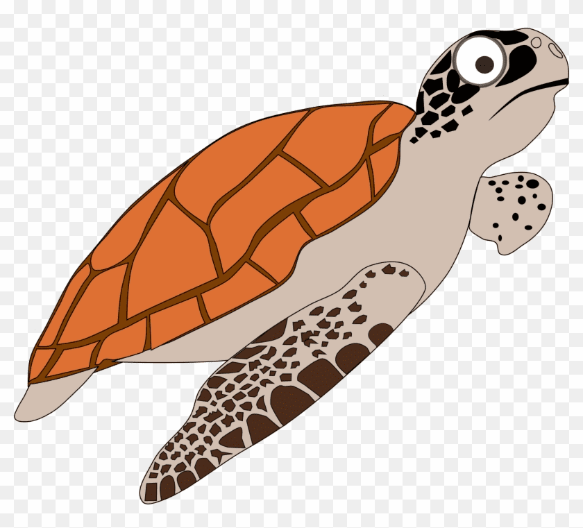Swimming Sea Turtle Clipart