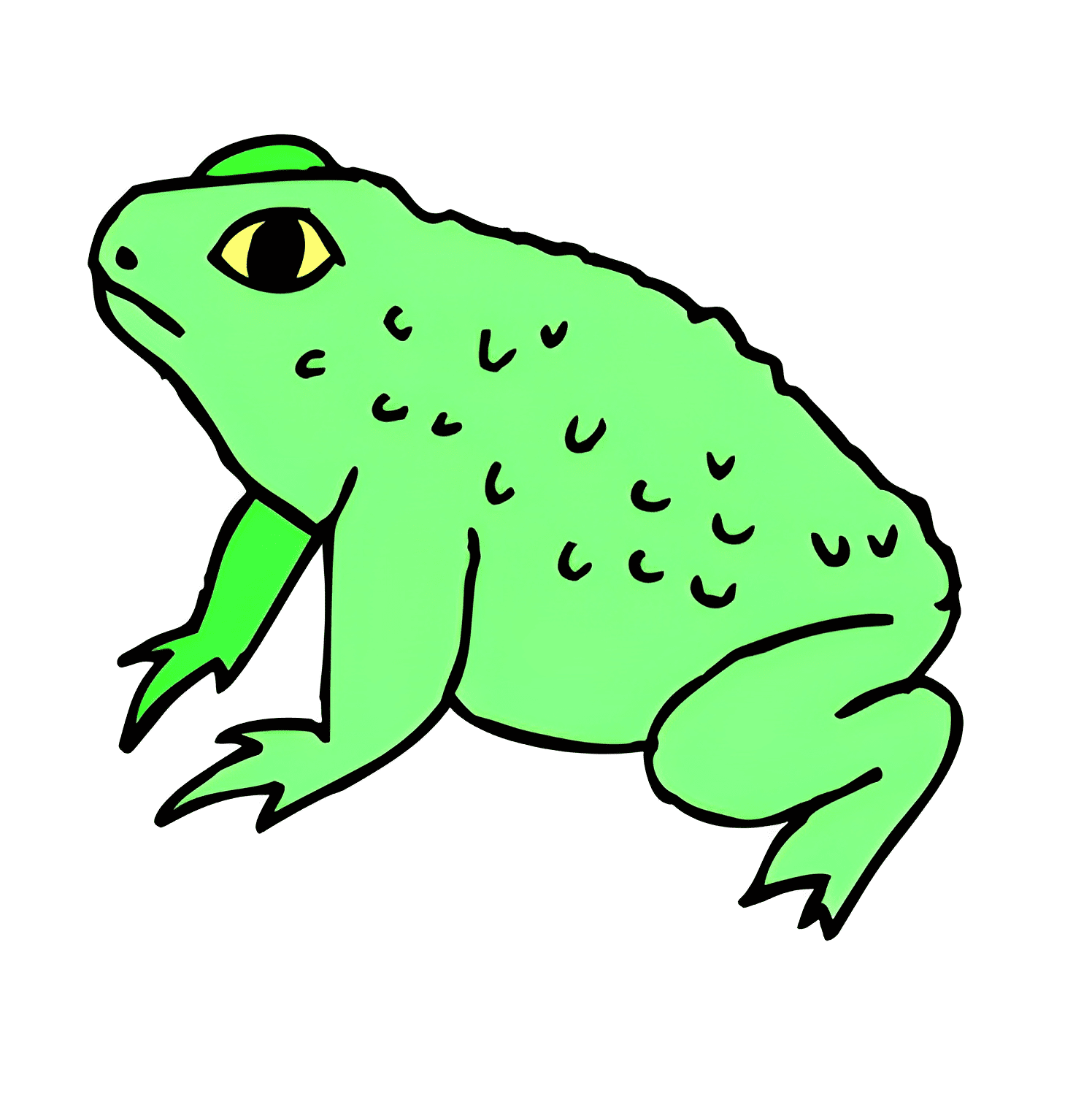 Toad Clipart For Free