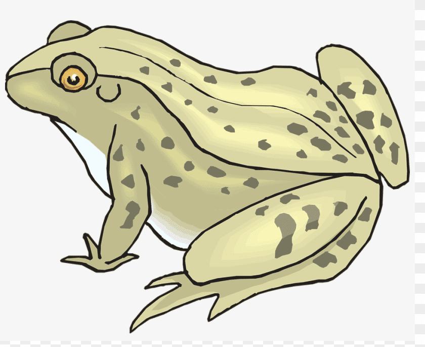 Toad Clipart Free Download