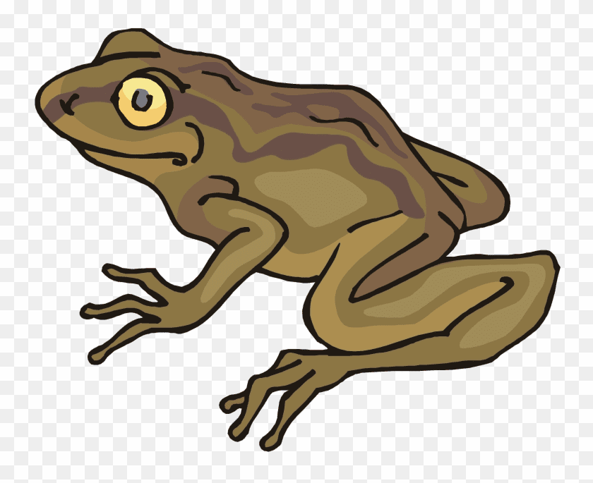 Toad Clipart Free Images