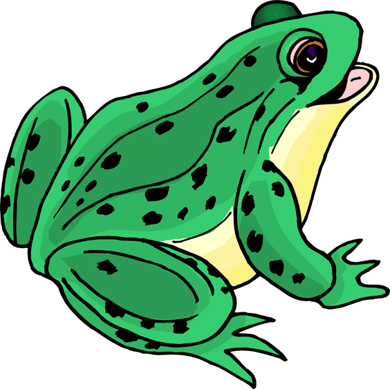 Toad Clipart Png