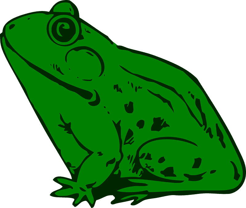 Toad Clipart Transparent Background