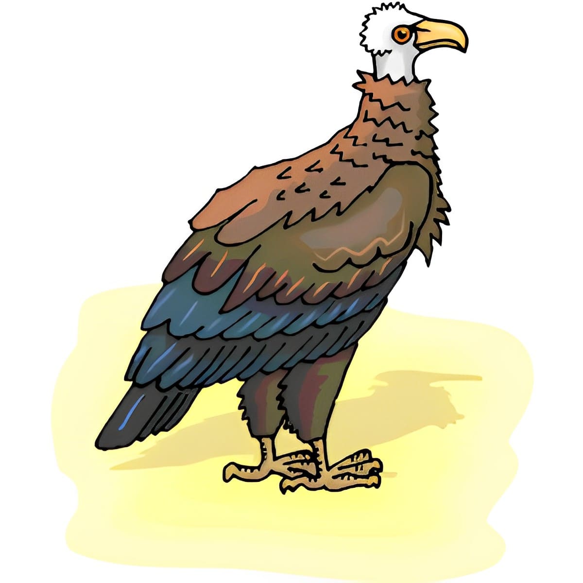 Vulture Clipart Free Image