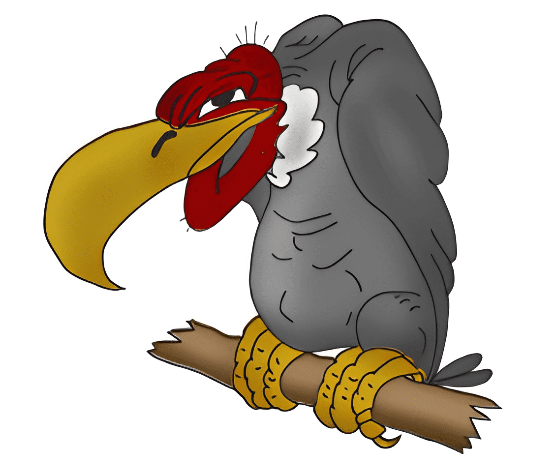 Vulture Clipart Free Images